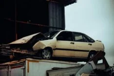 pexels-umudicreative-29879066