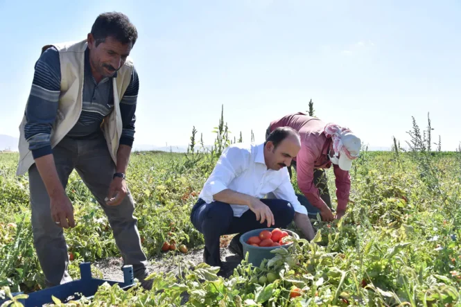 8442-konya-uretimde-zirveye-yerlesti-ciftcilere-buyuk-destek-saglandi